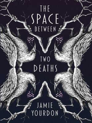 cover image of The Space Between Two Deaths